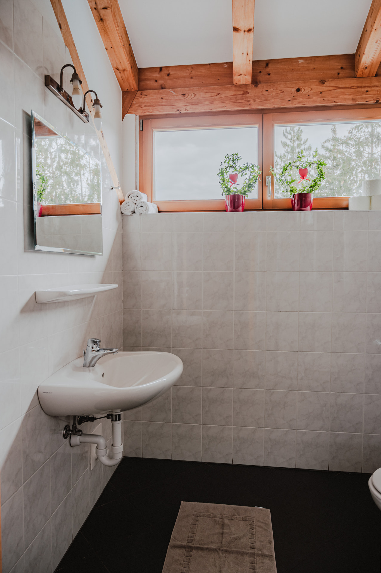 Private bathroom with shower at the Sonnenhof
