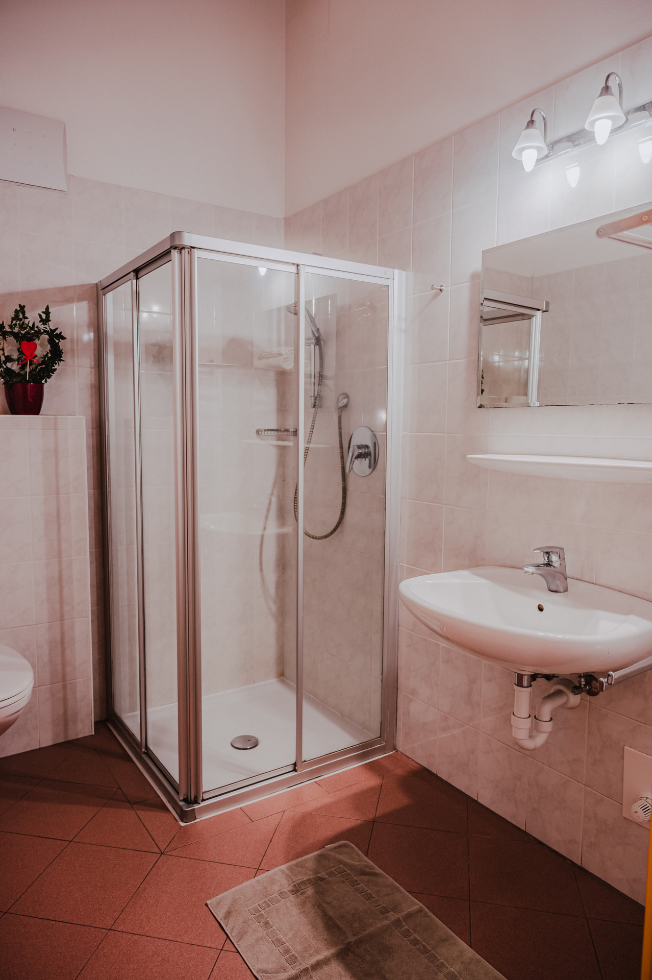 Bathroom with shower and WC at the Sonnenhof