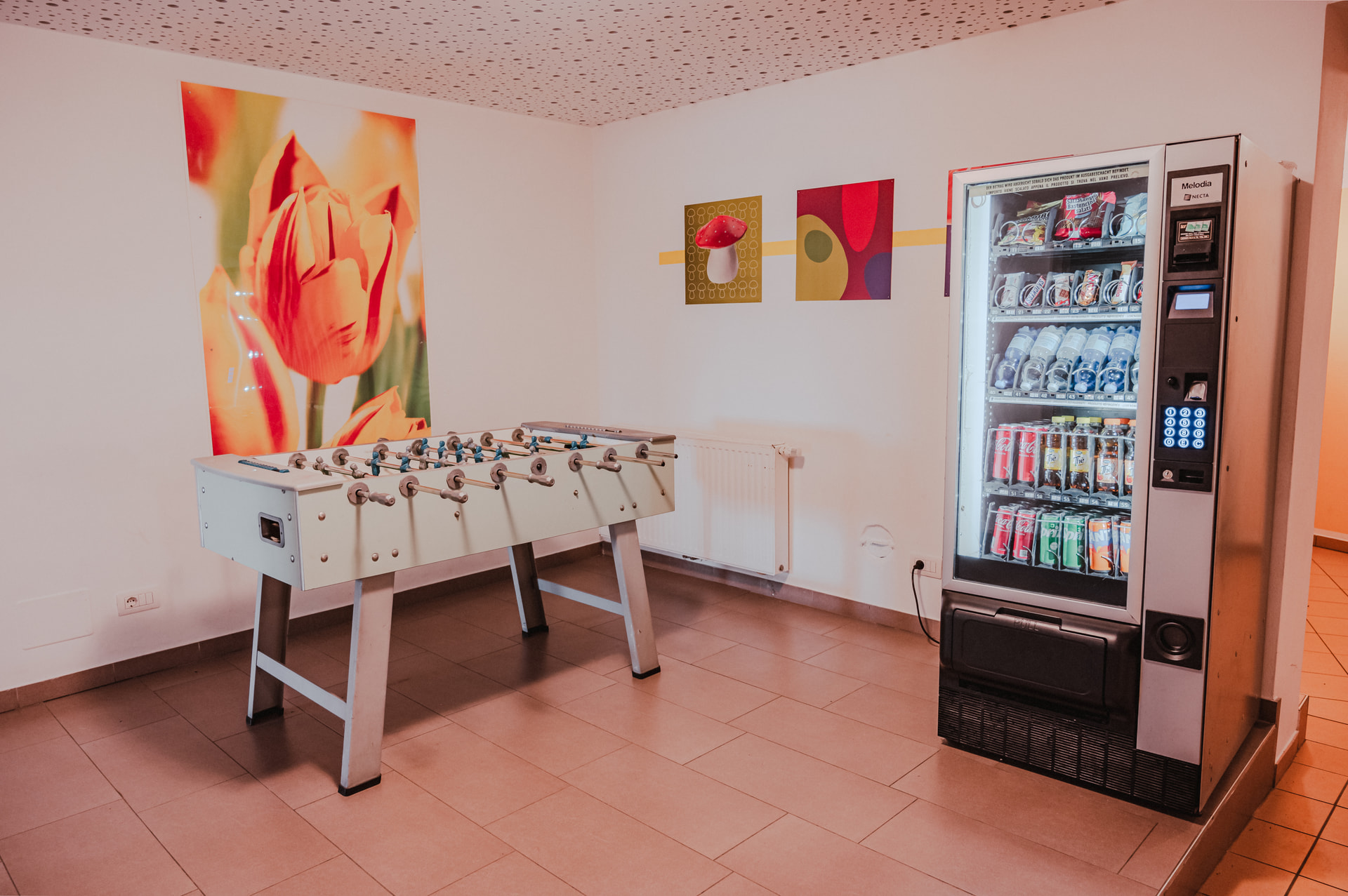 Snack and drinks vending machine at the Sonnenhof
